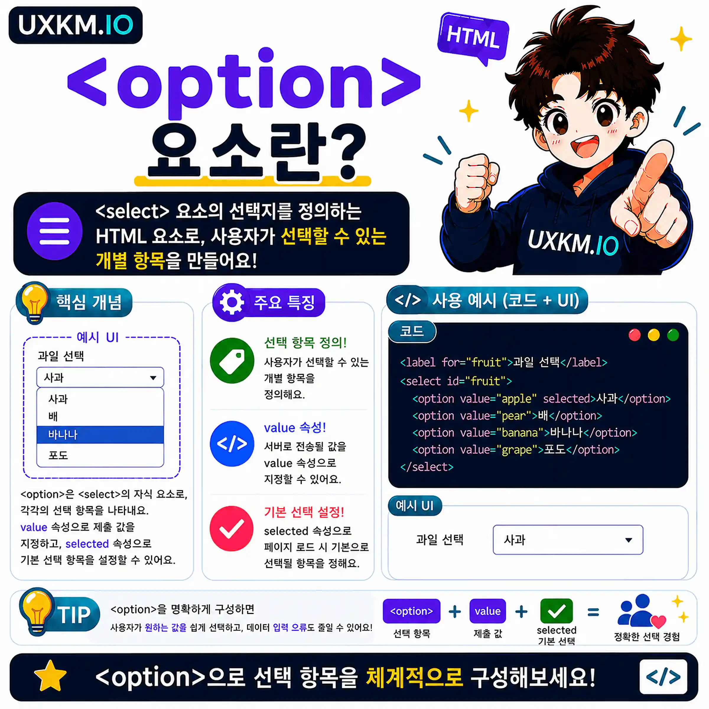 option 요소